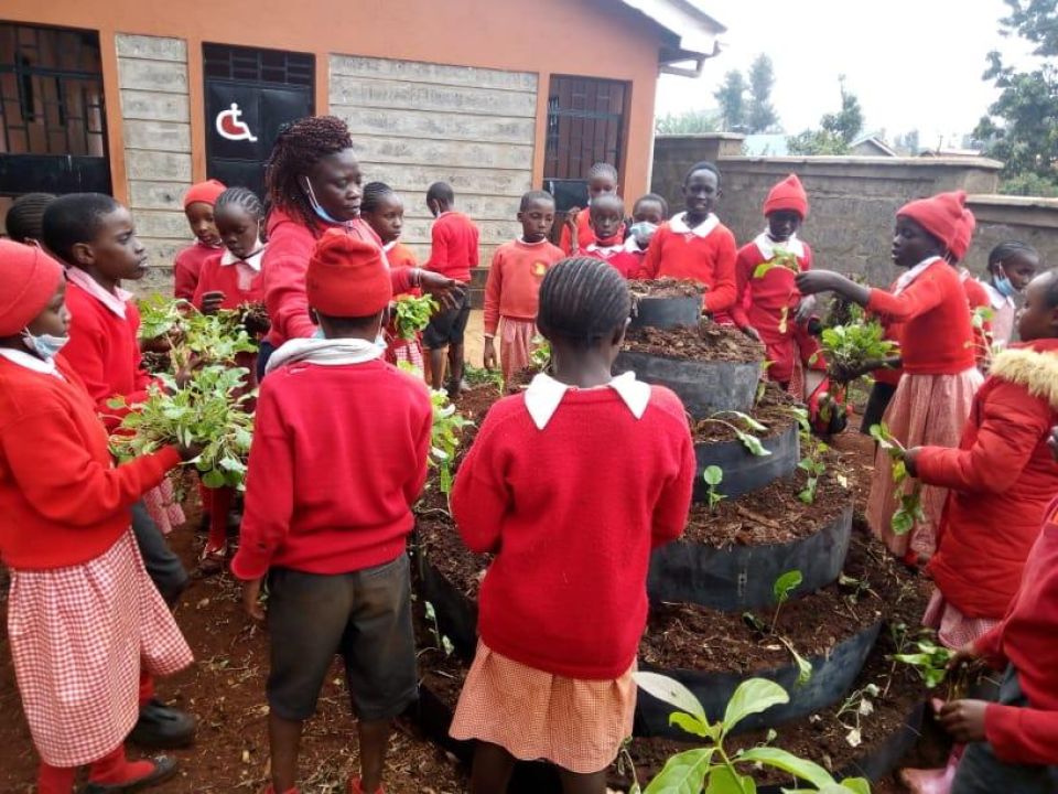 transplating on vertical gardens at gachie primary 62813a789f33357d9adc3342b503597a